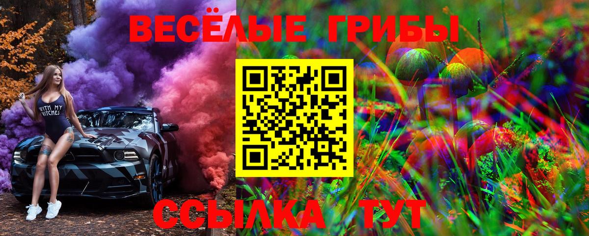 Псилоцибиновые грибы мицелий Аксай